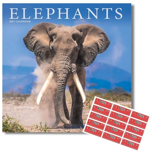 Avonside Elephants 2027 Square Calendar with Organisational Stickers | 16 Month Square Wall Calendar, Month to View Layout, Marked UK Holidays, High Quality Images, Home or Office Planner, 12x12in