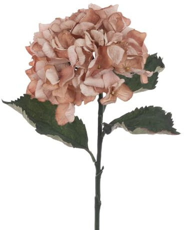 FloristryWarehouse ECO - Hortensia de seda sintética producida de forma sostenible, 60 cm de alto, color beige