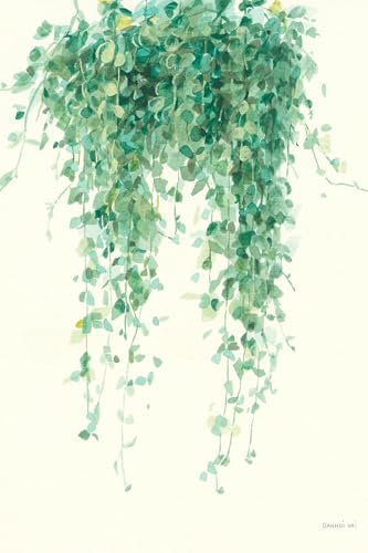 Cuadro de flores Planta tropical Ceropegia ilustrada – Made in France – Cuadro de cristal acrílico 60 x 90