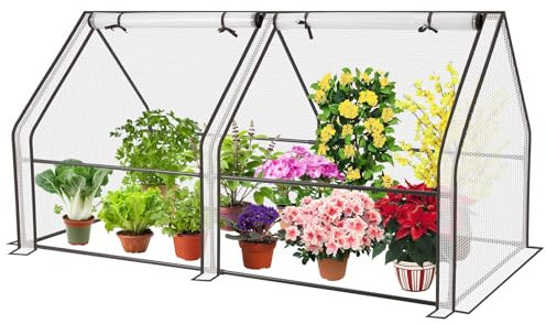 Sekey Serra per pomodori, 200 x 170 x 77 cm, walk-in serra per balconi, esterni, stabile, resistente ai raggi UV, colore bianco (verde (M)