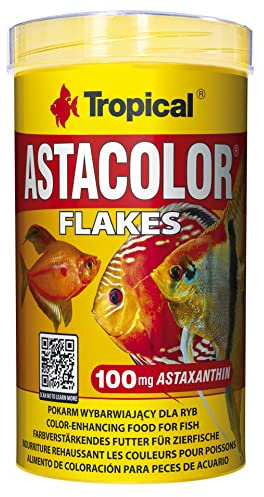 Tropical Astacolor, farbförderndes Flockenfutter, 1er Pack (1 x 500 ml)