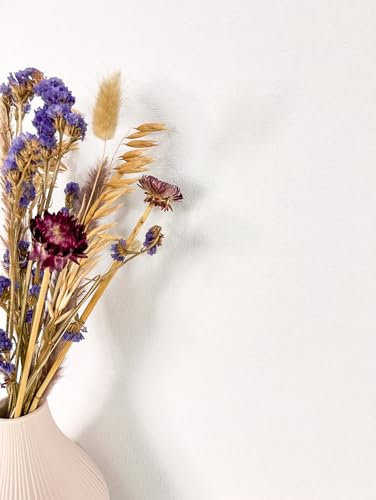 NEWROOM carta da parati Bianchi Tinta Unita Tessuto non Tessuto - Moderno Struttura Tessile Tinta Unita