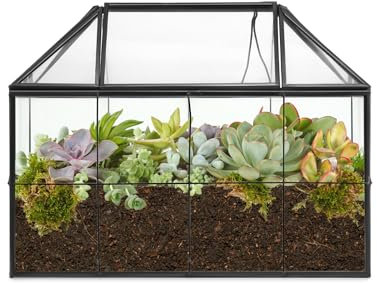 QWORK® Pot de Terrarium géométrique, Terrarium à Effet de Serre avec Couvercle, pour Cactus, succulentes, Noir, 22x13.5x18.5 cm, sans Plantes