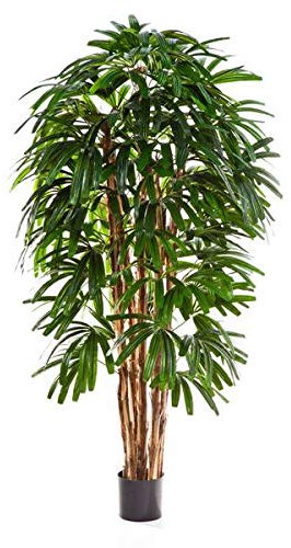 artplants.de Konstgjord stickpalme, 150 cm