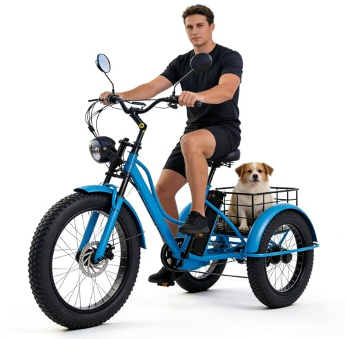BoluDukNN Tricycle électrique 24 Pouces 7 Vitesses pour Adultes, Vélo à Gros Pneus 48 V 15 Ah, Grand Panier, écran LCD, Phare, Vélo à Trois Roues pour Les Courses en Famille Blue