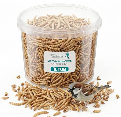 1L Mealworms for Wild Bird Food, Dried Mealworms for Garden Birds Feed | Treat, Natural Energy Boost for Hamsters, Robins Sparrows Parrots Clean Outdoor Feeding Nutritious Bird Feed