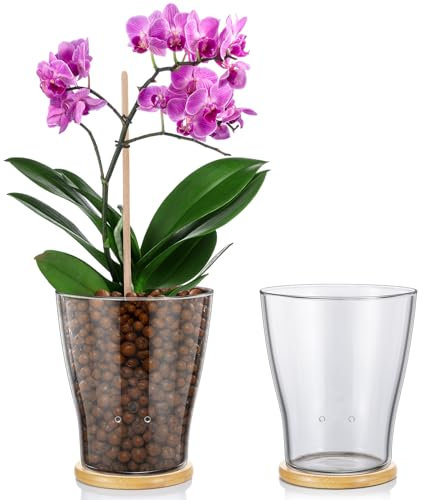 Baderke Glass Orchid Pots with Holes and Bamboo Tray Glass Pot Water Level Control Semi Hydroponic Transparent Root Transparent Indoor Orchid Planter for Home Indoor Outdoor Plant Lovers (5.12 Inch)