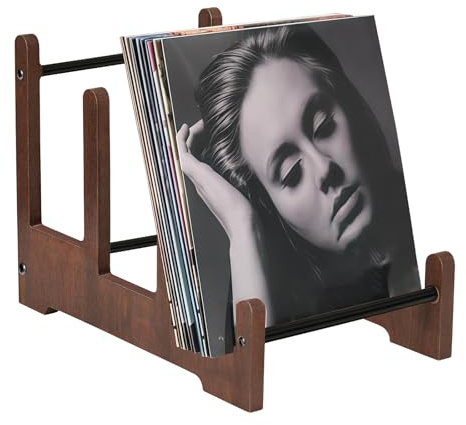 PORFOYO Estanterias Para Discos De Vinilo: Soporte Para Discos De Vinilo 37 x 27 x 24 cm, Soporte De Discoss De Vinilos Para Hasta 60 Lp Y Sencillos, Almacenamiento Para Almacenamiento De Libros