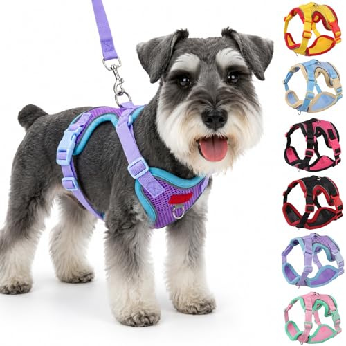 Olcyren Dog Harness and Lead Set, Soft Mesh Reflective Breathable Dog Harness, No Choke Adjustable Lightweight Padded Pet Vest for Puppy, Small and Medium Dogs and Cats Walking (Purple, L)