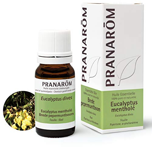 Pranarôm eucalyptus mentholé huile essentielle 10ml