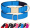 Didog Hundehalsband aus Nylon, weich gepolstert, strapazierfähiges Hundehalsband mit Schnellverschluss-Metallschnalle, leichtes und atmungsaktives Hunde Halsband für große, mittelgroße,Blau,M
