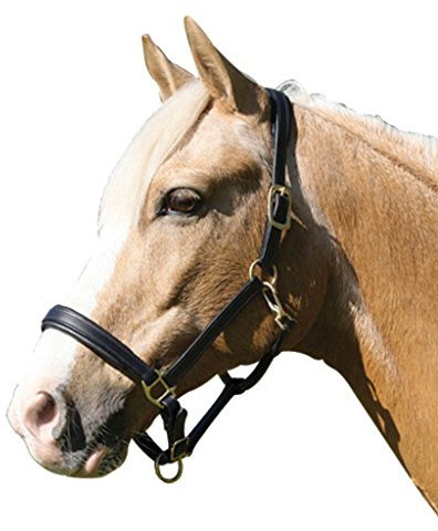 CATAGO Cabestro de cuero - negro - Pony