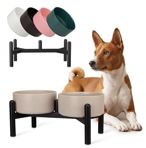 Comedero Perro Elevado de Cerámica - Cuenco Doble con Soporte de Acero Inoxidable - Platos para Perros Pequeños y Medianos - 660 ml x 2 - Blanca