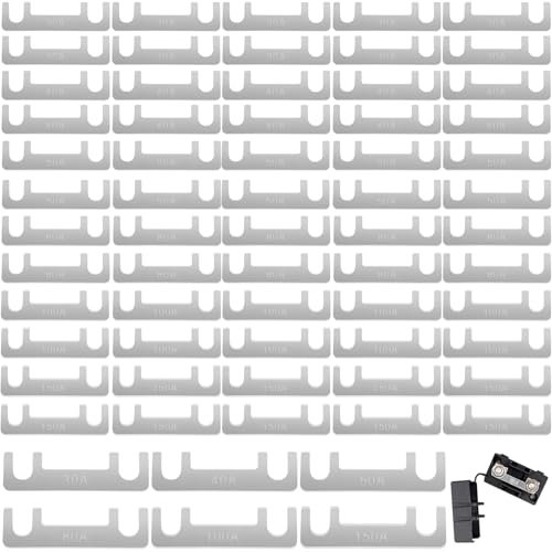 60 pezzi fusibili a lamelle, 30A, 40A, 50A, 80A, 100A, 150A fusibile a lamelle, fusibile a lamelle piatto, fusibile per auto per caravan e camper