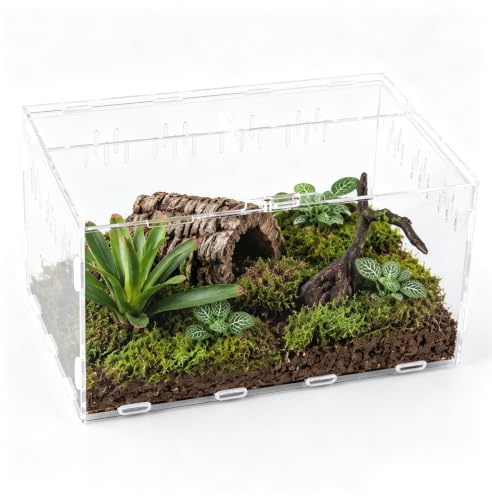 hocadon snigelterrarium akryl terrarium 30 x 20 x 15 cm med lufthål | Terrarium med full sikt optisk tilltalande som är lätt och robust, tryck och hållbar.