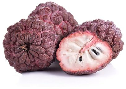 80 piezas Semillas de graviola semillas de maceta de árbol bonsai invernadero balcón interior jardín plantas frutas columnares plantas de balcón resistentes semillas de frutas