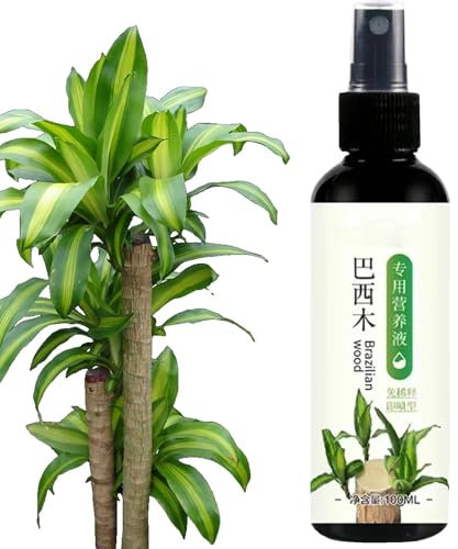 Soluzione nutritiva per legno brasiliano, idroponico per legno brasiliano | Fertilizzante liquido Lucky Wood 100 ml | Fertilizzante per piante d'appartamento in legno brasiliano Lucky, fertilizzante l