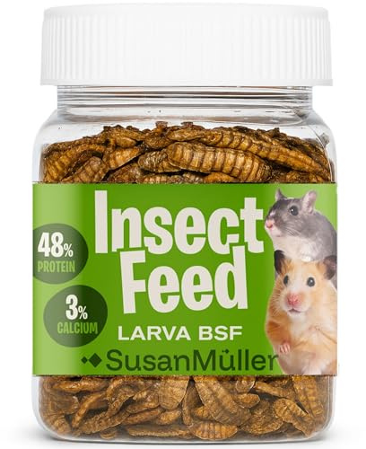 Larvas de Mosca Soldado Negra para Roedores – Snack Natural de Insectos, complemento alimenticio Rico en proteína y Calcio para hámsters, Ratas y pequeños mamíferos