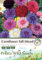 Cornflower Tall Mixed Seeds in Pictorial Packet - 5g