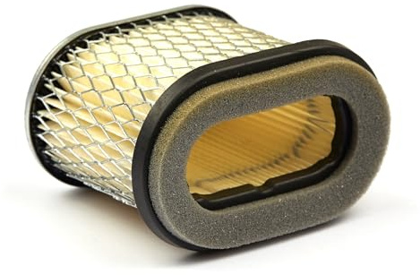Briggs & Stratton Original Luftfilterpatrone 692446