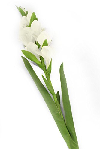 Floral Elegance Lot de 12 glaïeuls artificiels à Tige Simple Blanc 118 cm