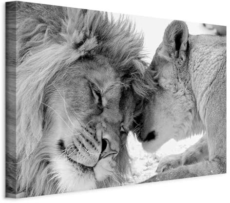 murando - Quadro Acustico Leone e Leonessa in Amore 90x60 cm 1 Pezzo - Stampa su Tela Schiuma Acustica - Quadri Fonoassorbenti Decorativi Moderni - Protezione dai Rumori g-B-0034-b-b