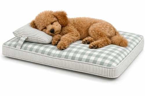 MOMONELO Cama Ortopédica para Perros Pequeños 65x45 cm – Colchón con Espuma Alta Densidad, Funda Lavable con Cremallera Oculta, Base Antideslizante – Ideal para Perros hasta 8-10 kg y Gatos