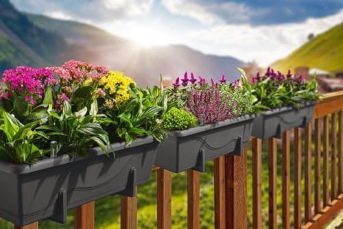 Gardenico Set of 2 x 400mm - Self-watering planters, troughs, flower pots for balconies - W39 D21 H17cm, 7.8L - Anthracite