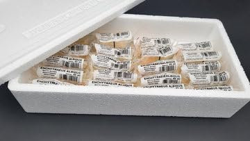 Zoo-Papp Enchyträen Enchytrean lebend Futter Enchytraeus albidus in 90 ml oder 45 ml Tüten | Immer frisch, im Sommer mit Icepacks + Styroporkiste geliefert Lebendfutter für Zierfische | (10x 45ml)