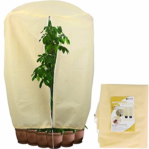DEWUR 200 x 200 x 240 cm, 80 g/m², protection hivernale pour plantes en pot, protection contre le gel, plantes d'hiver, sac en toile de jute pour olivier palmiers