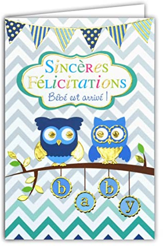 69-4046 Carte Félicitations Naissance Bébé avec Dorure Or Motif Hibou Chouette