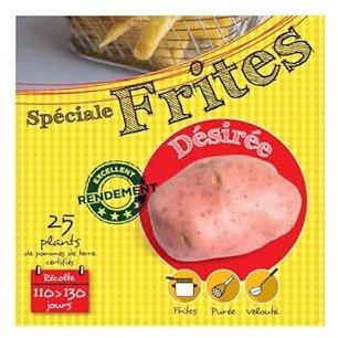 Désirée (Chair rose) 25 Plants de pomme de terre