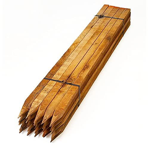 Homatz Wooden Garden Stakes 10 Pack, 30cm/1ft Long Square Wooden Stakes - Pressure Treated Timber for Plant & Tree Support - 2.5cm Thick Pegs