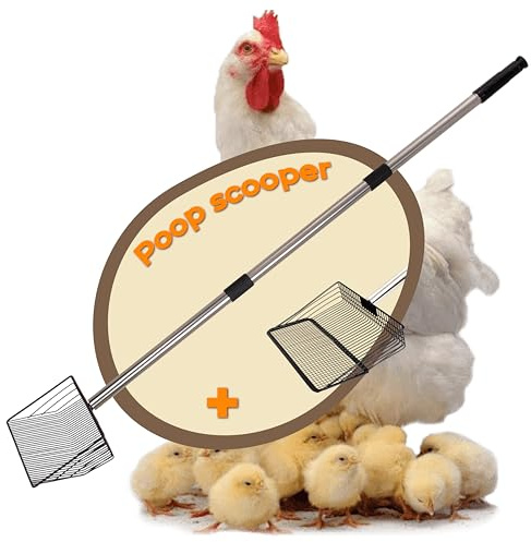 Pala Per Escrementi Di Pollo Con 2 Teste Di Pala, Pala Setaccio in Acciaio Inox Larga 25 Cm, Pala Telescopica 50–180 Cm, Accessori Per Pollaio Adatta A Cavalli, Maiali E Piccoli Animali, Pala Setaccio