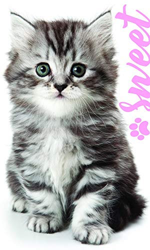 Katzen Baby Motiv Kinder-Handtuch 30 x 50 cm