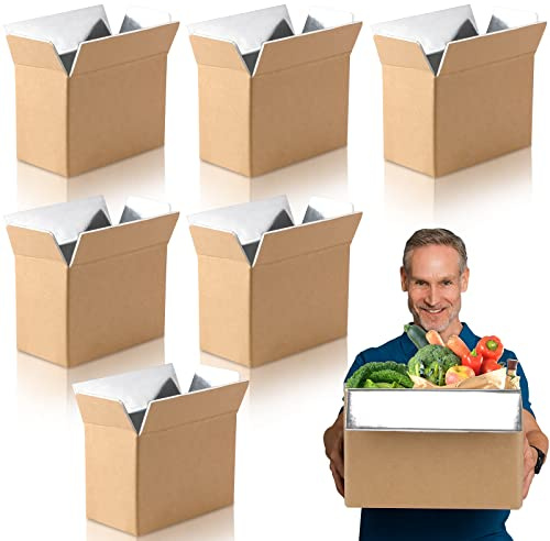 6 Pack Insulated Shipping Box 10.6 x 6.1 x 7.9 Inch Foil Cooler Carton Moving Kits for Mailing Packing Frozen Food(10.6 x 6.1 x 7.9 Inch,Brown)