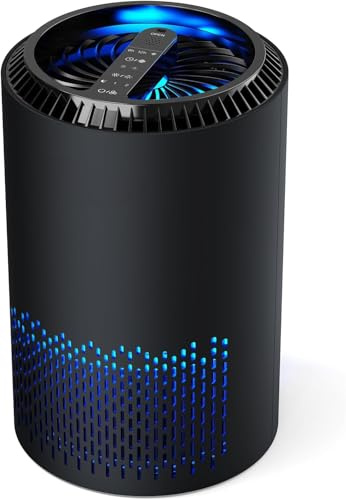 QEXREED Luftreiniger Allergiker, Raumluftreiniger HEPA-Filter gegen Pollen & Schimmel, Air Purifier mit Timer, Aroma-Diffusor für Staub & Geruch (black)