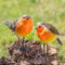 GloBrite Set of 2 Robin Garden Ornaments – Outdoor Resin Bird Statues for Yard or Patio, Realistic Animal Decor, Christmas or Gardening Gift Idea