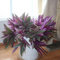 lamphle 50 Pz Tradescantia Spathacea Semi Tropicale Sempreverde Perenne Fogliame Ornamentale Pianta Rhoeo Piantine per Cortile Fiore Albero da Frutto Verdura Semi di Erba Seme