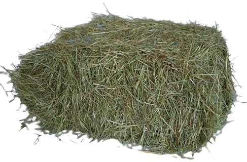 agrar-Store 7Kg Heu Heuballen Wiesenheu 1.Schnitt Futterheu Kaninchenheu Meerschweinchenheu Stroh