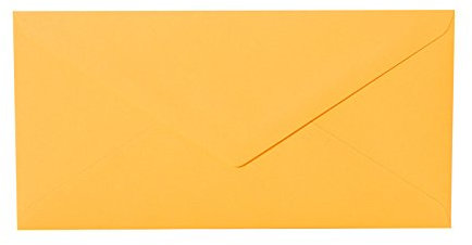 Paper24 25 Briefumschläge Gelb-Orange DIN lang 110x220 mm, 11x22 cm, ohne Fenster, Ideal für Einladungskarten Hochzeit Geburtstag u. ä.