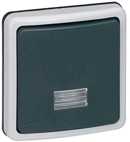 Legrand 090484 Interrupteur ou Va-et-vient Bipolaire Étanche à Voyant Plexo, 10A, IP66, Gris