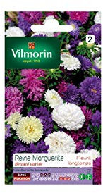 Vilmorin Jardin Rose Margueritte Beaute Variee Serie 2