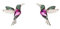 Einzelstück® Kolibri Ohrstecker I 925 Sterling Silber Ohrringe im Vogel Design I Handmade mit grünen und pinken Zirkonia Steinen I 14K Gold & Rosegold I Allergikerfreundlicher Echtschmuck