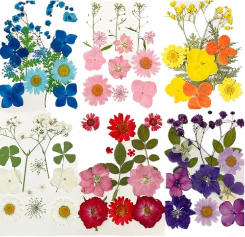 Fiori Secchi per Resina 72 pezzi Fiori Pressati Essiccati Misti Fiore Pressati Secchi Naturali per DIY Candele Gioielli in Resina Unghie Pendenti Arte Decorazione Floreale