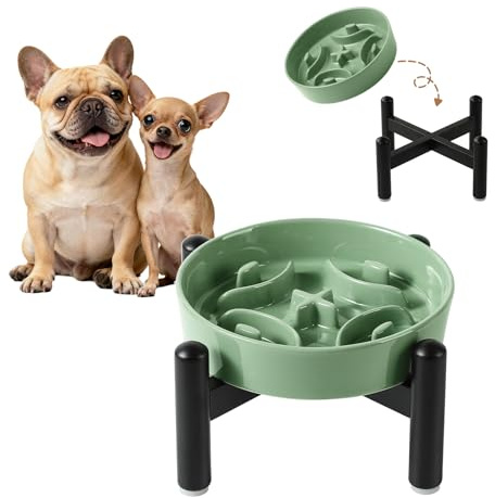 Comedero Perro Elevado Antivoracidad de Cerámica - Cuenco Laberinto con Soporte de Acero Inoxidable para Alimentación Lenta - Plato Comida para Perros Pequeños - Altura 10 cm - 80 g - Verde