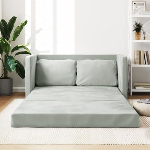 IKAYAA Sofá Cama 2 Plazas Plegable para Salón y Lofts - Futon 2 en 1 - 122 x 204 x 55 cm - Gris Claro