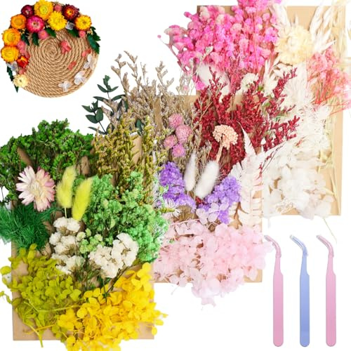 Real Dried Flowers for Resin 3Pack, Natural Pressed Flowers | Natural mixed dried flower pack with tweezers for DIY resin crafts, jewelry & candles(Multicolor White Green).