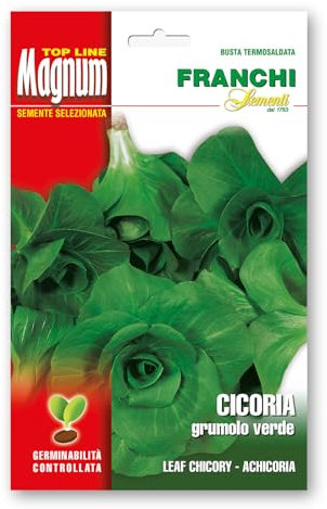 Sementi in busta magnum termosaldata grande per la produzione di ortaggi nell'orto famigliare (Cicoria Grumolo verde, Una busta)