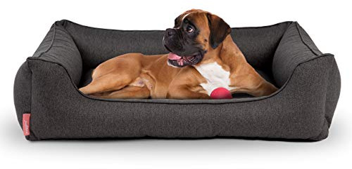 Hyggins Dreamer Plus Hundebett | Orthopädisch, Bezug abnehmbar und waschbar | Boden wasserabweisend (S 60 x 44cm, Dunkelgrau)